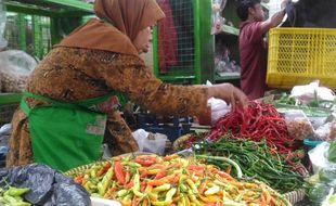 Harga Cabai Melambung, Pengepul Hanya Ambil Untung Rp2.000