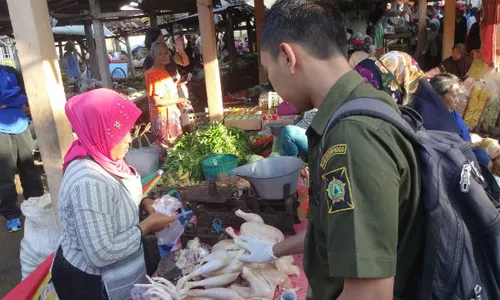 Pedagang Perlu Bawa Surat Keterangan Kesehatan Daging dari RPH