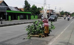 KECELAKAAN KENDAL : Kerap Bikin Celaka, Jalan Rusak Ditanami Dahan Pohon