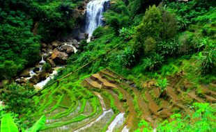 Lima Daerah Paling Sepi di Ponorogo, Kecamatan Ngrayun Tersepi