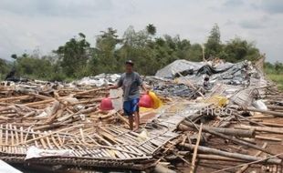 ANGIN KENCANG KLATEN : Kandang Ambruk, 3.000 Ayam di Desa Titang Mati