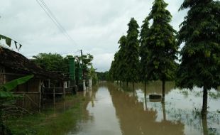 5 Anak Sungai Bengawan Solo Ini Dipantau BPBD Sukoharjo