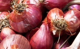 HARGA KEBUTUHAN POKOK : Harga Bawang Merah di Semarang Naik