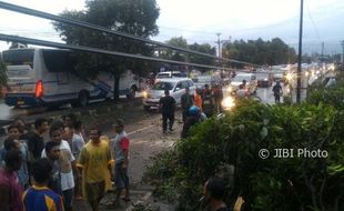 Pohon Tumbang di Jogonalan, Lalu Lintas Solo-Jogja Macet