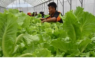 Foto Kerupuk Kulit Ikan Dibikin di Demak