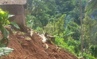 BENCANA PACITAN : 2 Rumah dan 150 Pohon Cengkih di Nogosari Rusak Diterjang Longsor.