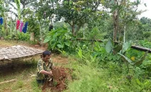 KISAH TRAGIS : 70 Tahun Hidup, Pria Tak Berkaki asal Pacitan Ini Tak Pernah Punya KTP