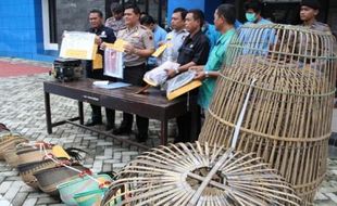 PERJUDIAN KARANGANYAR : Gerebek Arena Sabung Ayam, Polres Tetapkan 7 Tersangka