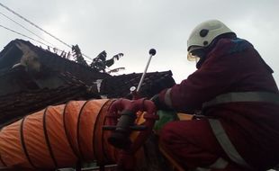 Sarang Tawon Ndas Sepanjang 1 Meter Resahkan Warga Trucuk Klaten