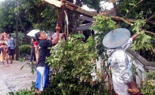 ANGIN KENCANG SRAGEN : Puting Beliung Rusak 60 Rumah dan Tumbangkan 200 Pohon