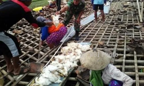 BENCANA SRAGEN : Kandang Ayam di Kedungupit Ambruk, 5 Orang Terluka