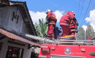 Musnahkan Sarang Tawon, Ini yang Harus Dihadapi Petugas Damkar Klaten