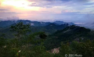 WISATA SOLORAYA : Keindahan Hutan Pinus Bukit Kars Wonogiri