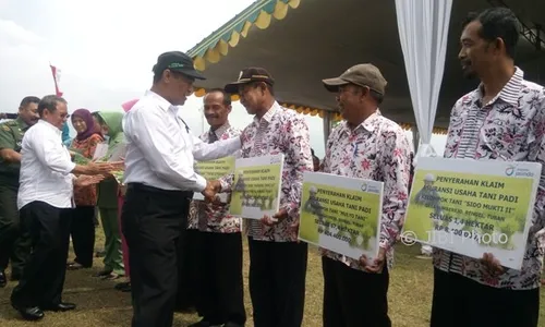 Mentan Tegaskan Gabah Petani Pasti Dibeli Rp3.700/kg oleh Bulog