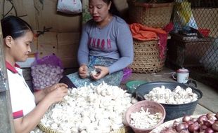 PASAR TRADISIONAL SOLO : Dari Kulit hingga Batang Kering Bawang Pasar Legi Semua Laku