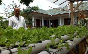 PERTANIAN GUNUNGKIDUL : Petani Jangan Terburu-Buru Menanam