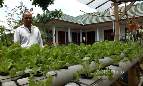 Pelatihan Menanam secara Hidroponik Semakin Diminati