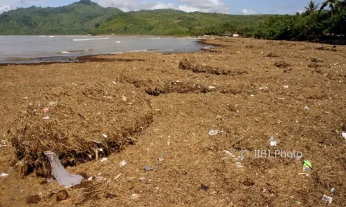 WISATA TULUNGAGUNG : Tumpukan Sampah Tutupi Pantai Sidem