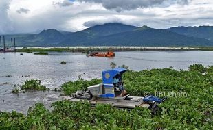 Rawa Pening Menyusut, Pemerintah Alokasikan Rp4,2 M Bersihkan Enceng Gondok