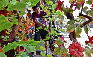 FOTO INFO BELANJA : Pohon Hias Tuntang Mulai Rp150.000