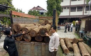 PEMBALAKAN LIAR SRAGEN : Bawa Kayu dari Hutan, Dua Warga Ditangkap