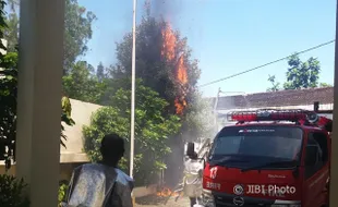 Damkar Solo Musnahkan Sarang Tawon Seukuran Jeriken 20 L di Kantor Depo Arsip