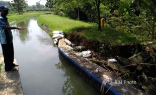 PERTANIAN BOYOLALI : Irigasi Ambrol, 150 Ha Sawah Karanggede Terancam Kekeringan