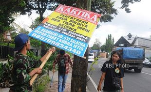 FOTO HARI BUMI : Paku Pohon di Kota Salatiga Dicabuti