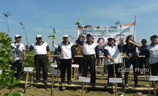 ABRASI PANTAI DEMAK : Leprid Catat Rekor Penanaman Mangrove Serentak