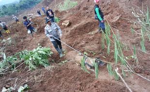 LONGSOR PONOROGO : 7 Anjing Pelacak Ikut Mencari Korban Tanah Longsor di Banaran