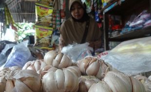 HARGA KEBUTUHAN POKOK : Kualitas Menurun, Harga Bawang Putih Terus Merangkak Naik