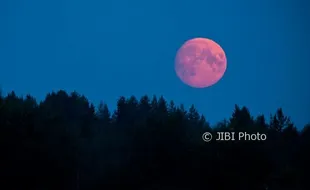 Fenomena Pink Moon Bakal Terlihat Malam Ini