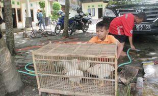 PENELANTARAN ANAK : Ponpes Akui Kekurangan Pengasuh