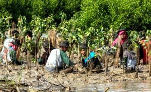 HARI BUMI : Sentuh Bumi dengan Hati, 400 Pemuda Tanam Mangrove di Semarang