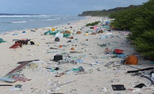 TAHUKAH ANDA? : Pulau Tak Berpenghuni Ini Paling Tercemar di Dunia