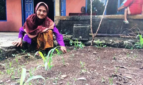 Mbah Ponco Sabet Penghargaan Aktris Terbaik di AIFFA 2017