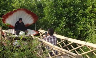 Wisata Mangrove di Kulonprogo Ini Dikunjungi Ribuan Orang