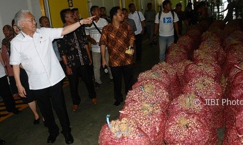 Masih Ada Tiga Desa Rawan Pagan di Bantul