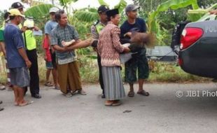 KECELAKAAN DEMAK : Kakek-Kakek Tewas Jadi Korban Tabrak Lari