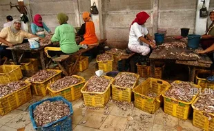 Foto Fillet Ikan Semarang dari Tegal