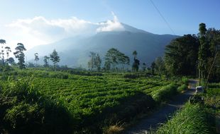 2 Pendaki Merapi Boyolali Hilang Kontak Sejak Selasa