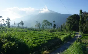 Lokasi 45 Desa Wisata Boyolali, Paling Banyak di Lereng Merapi-Merbabu?