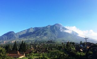 WISATA SOLORAYA : Jalan-Jalan Sembari Cicipi Sayur Organik di Lereng Merapi Boyolali