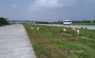 JALUR MUDIK LEBARAN 2017 : H-10, Tol Soker Steril Aktivitas Warga