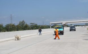 MUDIK LEBARAN 2017 : Hati-Hati! Ini Foto Kambing Masuk Tol Solo-Ngawi