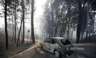 Korban Tewas Kebakaran Hutan Portugal Jadi 62