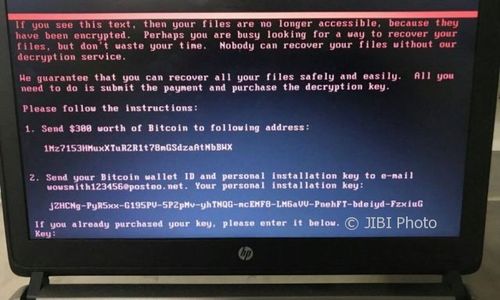 Ini 5 Negara yang Terdampak Serangan Ransomware Petya