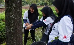 Duh, 12 Kg Paku Lukai Pohon-Pohon di Jl. Slamet Riyadi Solo