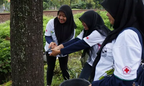 Duh, 12 Kg Paku Lukai Pohon-Pohon di Jl. Slamet Riyadi Solo