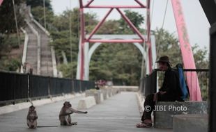 WISATA SEMARANG : Panjat Pinang Kera Dongkrak Kunjungan Goa Kreo